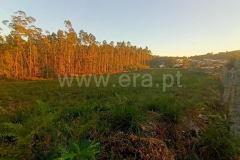 Helårsgrund i Barcelos, Braga, Barcelos - € 135.000 | Ref: 254260335 - foto 5