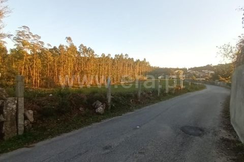 Helårsgrund i Barcelos, Braga, Barcelos - € 135.000 | Ref: 254260335 - foto 6