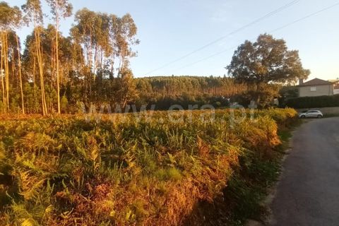 Helårsgrund i Barcelos, Braga, Barcelos - € 135.000 | Ref: 254260335 - foto 7