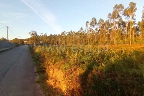 Helårsgrund i Barcelos, Braga, Barcelos - € 135.000 | Ref: 254260335 - foto 8