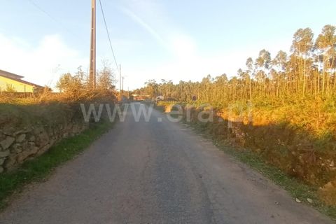 Helårsgrund i Barcelos, Braga, Barcelos - € 135.000 | Ref: 254260335 - foto 9