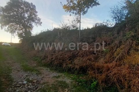 Helårsgrund i Barcelos, Braga, Barcelos - € 135.000 | Ref: 254260335 - foto 10