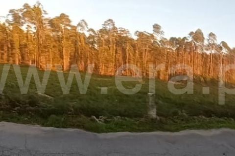 Helårsgrund i Barcelos, Braga, Barcelos - € 135.000 | Ref: 254260335 - foto 11