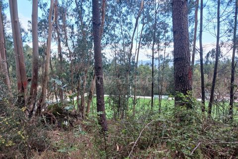 Helårsgrund i Barcelos, Braga, Barcelos - € 130.000 | Ref: 254260466 - foto 3