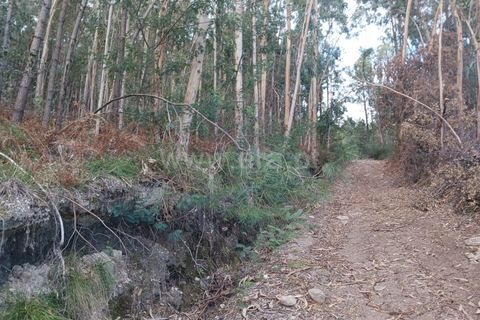 Helårsgrund i Barcelos, Braga, Barcelos - € 130.000 | Ref: 254260466 - foto 8