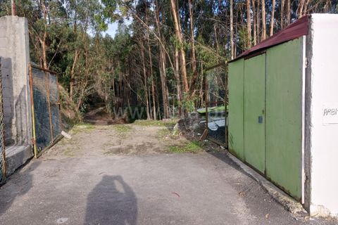 Helårsgrund i Barcelos, Braga, Barcelos - € 130.000 | Ref: 254260466 - foto 9
