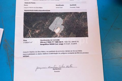 Terra em Barcelos, Braga, Barcelos - € 130.000 | Ref: 254260466 - foto 11