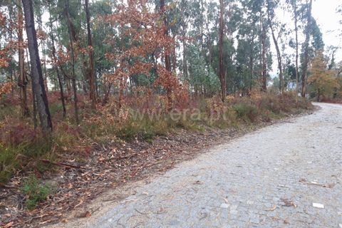 Helårsgrund i Barcelos, Braga, Barcelos - € 120.000 | Ref: 254260254 - foto 4