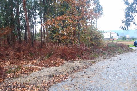 Helårsgrund i Barcelos, Braga, Barcelos - € 120.000 | Ref: 254260254 - foto 5
