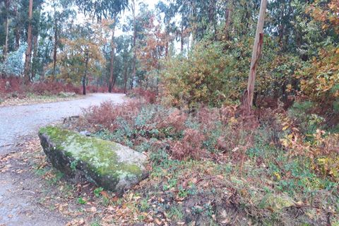 Helårsgrund i Barcelos, Braga, Barcelos - € 120.000 | Ref: 254260254 - foto 6