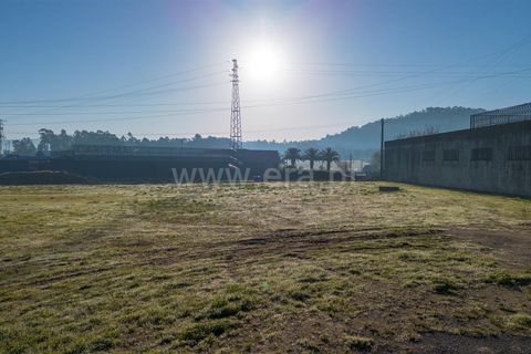 Helårsgrund i Barcelos, Braga, Barcelos - € 860.000 | Ref: 254260631 - foto 7