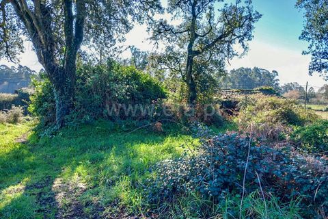 Helårsgrund i Esposende, Braga, Esposende - € 470.000 | Ref: 254260451 - foto 2