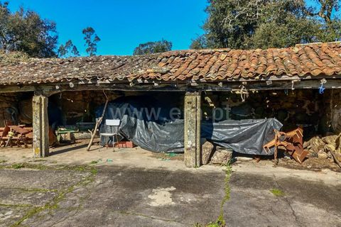 Helårsgrund i Esposende, Braga, Esposende - € 470.000 | Ref: 254260451 - foto 5