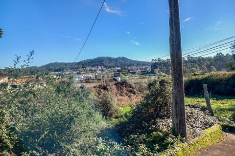 Helårsgrund i Esposende, Braga, Esposende - € 470.000 | Ref: 254260451 - foto 7