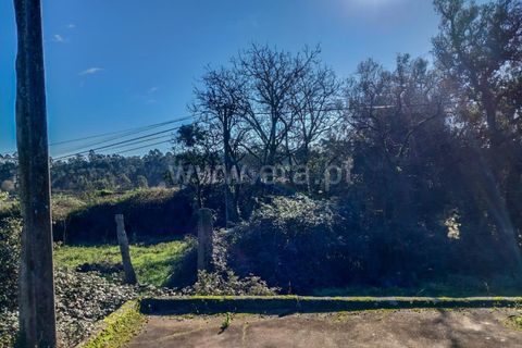 Helårsgrund i Esposende, Braga, Esposende - € 470.000 | Ref: 254260451 - foto 8