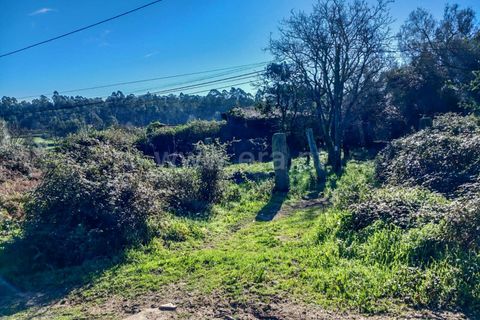 Helårsgrund i Esposende, Braga, Esposende - € 470.000 | Ref: 254260451 - foto 9