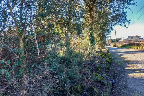 Helårsgrund i Esposende, Braga, Esposende - € 470.000 | Ref: 254260451 - foto 11