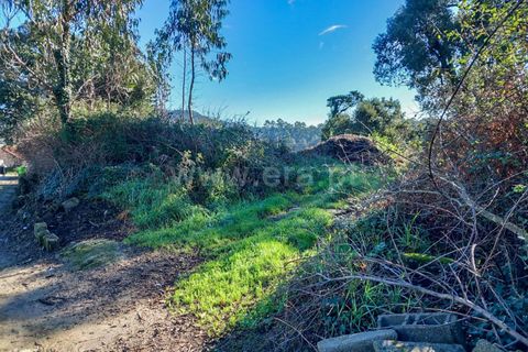 Helårsgrund i Esposende, Braga, Esposende - € 470.000 | Ref: 254260451 - foto 12