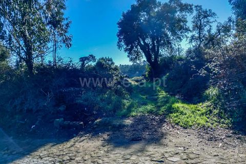Helårsgrund i Esposende, Braga, Esposende - € 470.000 | Ref: 254260451 - foto 13