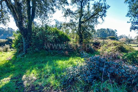 Helårsgrund i Esposende, Braga, Esposende - € 470.000 | Ref: 254260451 - foto 14