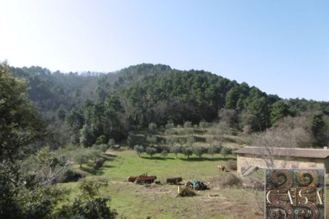 Villa i Rivalto, Pisa, Rivalto - € 800.000 | Ref: v62673-x - foto 9