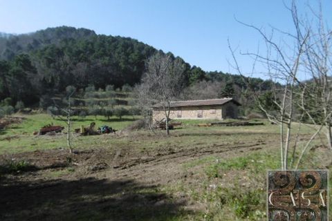 Villa i Rivalto, Pisa, Rivalto - € 800.000 | Ref: v62673-x - foto 10