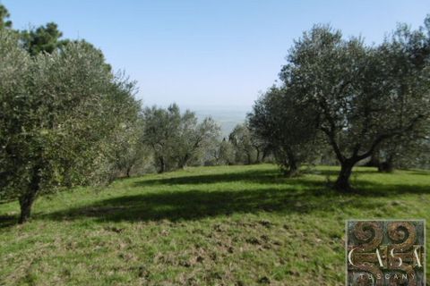 Villa i Rivalto, Pisa, Rivalto - € 800.000 | Ref: v62673-x - foto 22