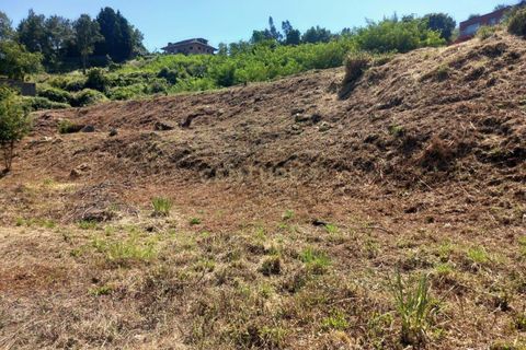 Helårsgrund i Oliveira do Douro, Porto, Oliveira do Douro - € 1.668.480 | Ref: C0406-01936 - foto 4