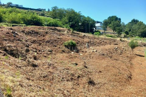 Helårsgrund i Oliveira do Douro, Porto, Oliveira do Douro - € 1.668.480 | Ref: C0406-01936 - foto 7