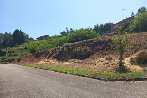Helårsgrund i Oliveira do Douro, Porto, Oliveira do Douro - € 1.668.480 | Ref: C0406-01936 - foto 8