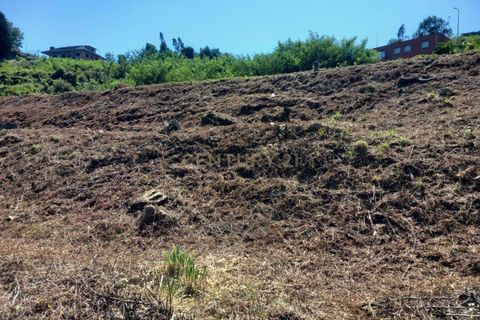 Helårsgrund i Oliveira do Douro, Porto, Oliveira do Douro - € 1.668.480 | Ref: C0406-01936 - foto 12