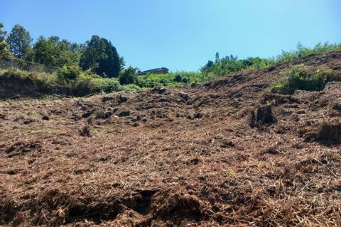 Helårsgrund i Oliveira do Douro, Porto, Oliveira do Douro - € 1.668.480 | Ref: C0406-01936 - foto 14