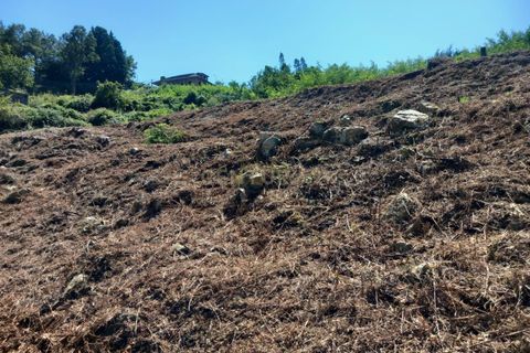 Helårsgrund i Oliveira do Douro, Porto, Oliveira do Douro - € 1.668.480 | Ref: C0406-01936 - foto 15