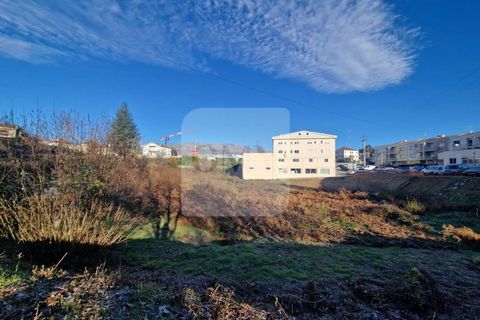 Helårsgrund i Vila Real, Vila Real, Vila Real - € 1.400.000 | Ref: TER_1107 - foto 3