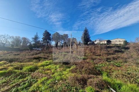 Helårsgrund i Vila Real, Vila Real, Vila Real - € 1.400.000 | Ref: TER_1107 - foto 4