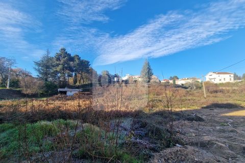 Helårsgrund i Vila Real, Vila Real, Vila Real - € 1.400.000 | Ref: TER_1107 - foto 6