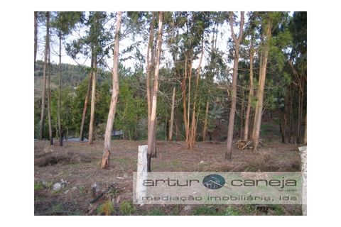 Helårsgrund i Arcos de Valdevez, Viana do Castelo, Arcos de Valdevez - € 75.000 | Ref: 6245 - foto 2
