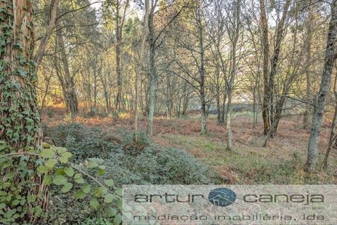 Helårsgrund i Arcos de Valdevez, Viana do Castelo, Arcos de Valdevez - € 75.000 | Ref: 6245 - foto 4