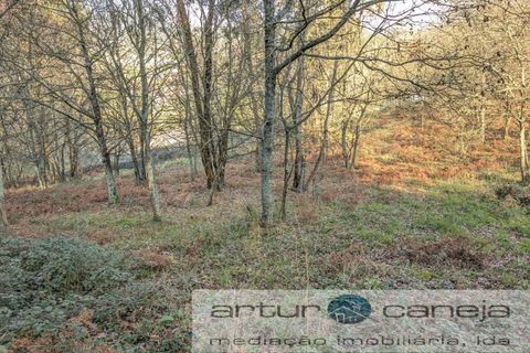 Helårsgrund i Arcos de Valdevez, Viana do Castelo, Arcos de Valdevez - € 75.000 | Ref: 6245 - foto 5