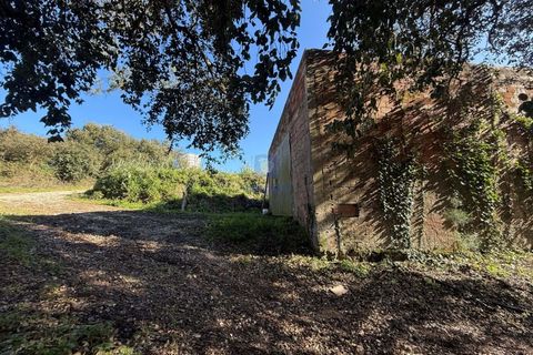 Farm i Obidos, Leiria, Obidos - € 350.000 | Ref: CAL-217010 - foto 2