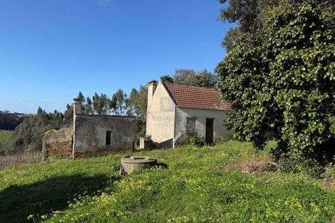 Farm i Obidos, Leiria, Obidos - € 350.000 | Ref: CAL-217010 - foto 3