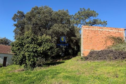 Farm i Obidos, Leiria, Obidos - € 350.000 | Ref: CAL-217010 - foto 7