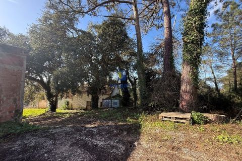 Farm i Obidos, Leiria, Obidos - € 350.000 | Ref: CAL-217010 - foto 8