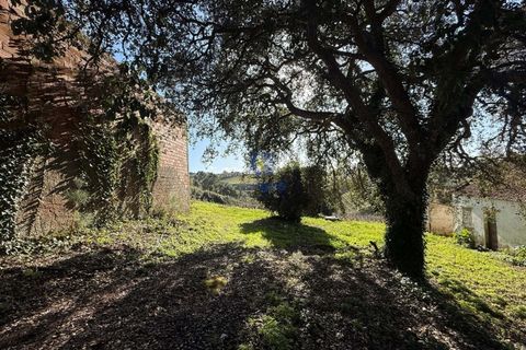 Farm i Obidos, Leiria, Obidos - € 350.000 | Ref: CAL-217010 - foto 11