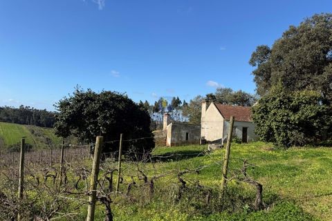 Farm i Obidos, Leiria, Obidos - € 350.000 | Ref: CAL-217010 - foto 12