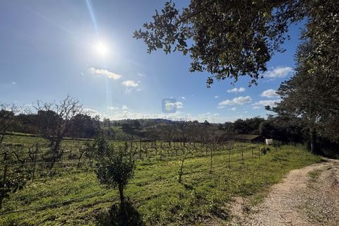 Farm i Obidos, Leiria, Obidos - € 350.000 | Ref: CAL-217010 - foto 14