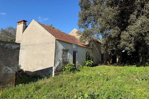 Farm i Obidos, Leiria, Obidos - € 350.000 | Ref: CAL-217010 - foto 16