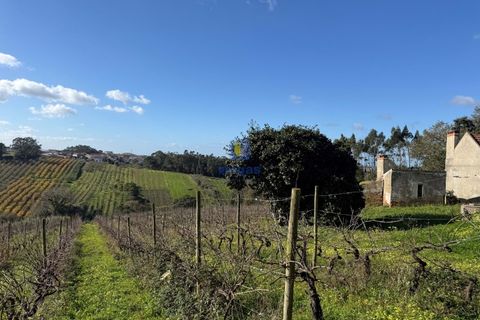 Farm i Obidos, Leiria, Obidos - € 350.000 | Ref: CAL-217010 - foto 19