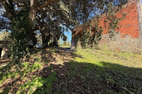 Farm i Obidos, Leiria, Obidos - € 350.000 | Ref: CAL-217010 - foto 24