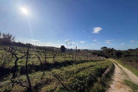 Farm i Obidos, Leiria, Obidos - € 350.000 | Ref: CAL-217010 - foto 31